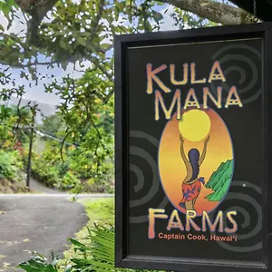 Kula Ohana Apartment